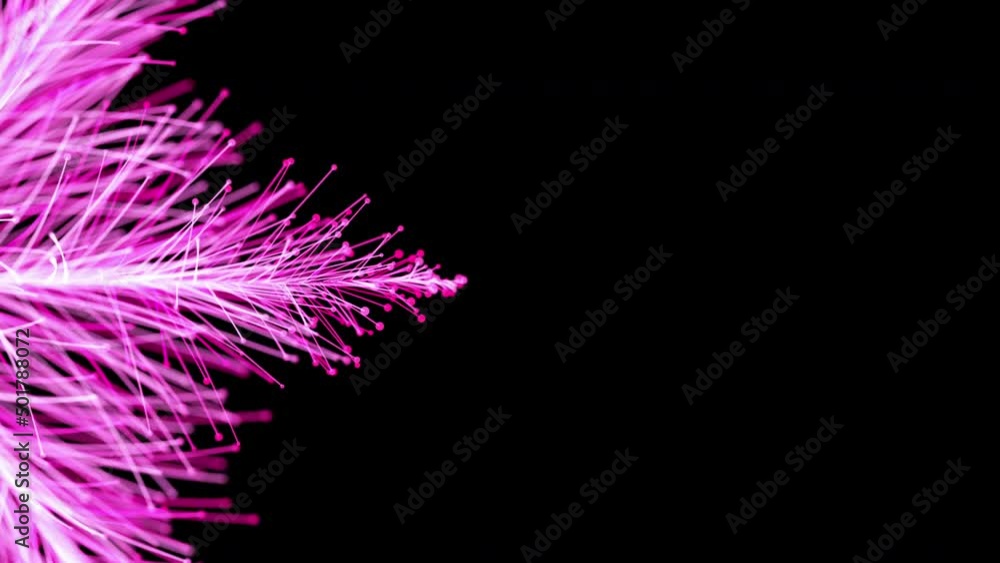 Particle pink flowers blossom - abstract motion background. 3d computer generated animation of particles flower with depth of field. Particle pink flowers blossom - abstract motion background. 3d computer generated animation of particles flower with depth of field.