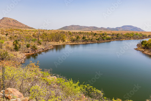 Sunny view of the Lake Jed Johnson