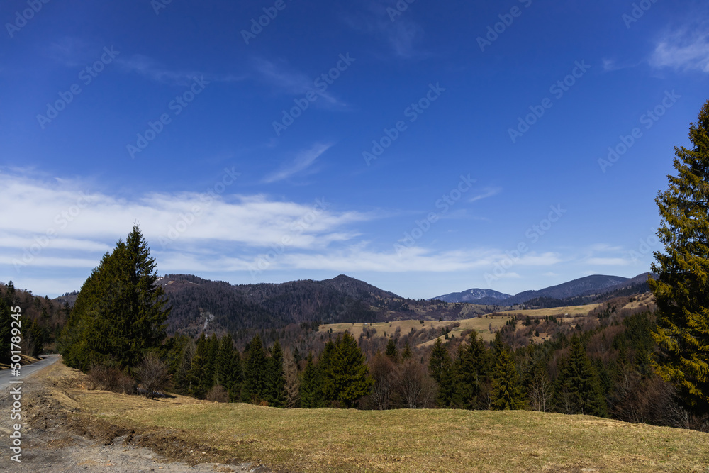 Mountains with trees and blue sky with clouds at background.