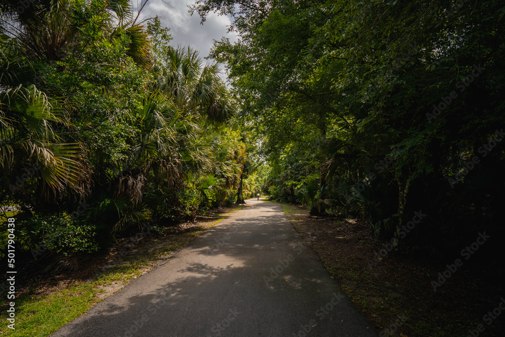 Fototapeta premium Cross Seminole bike path in Seminole County in Central Florida