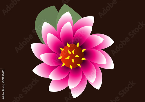 Flor de loto sobre fondo oscuro