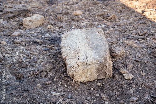 the peat block was obtained in a Latvian bog