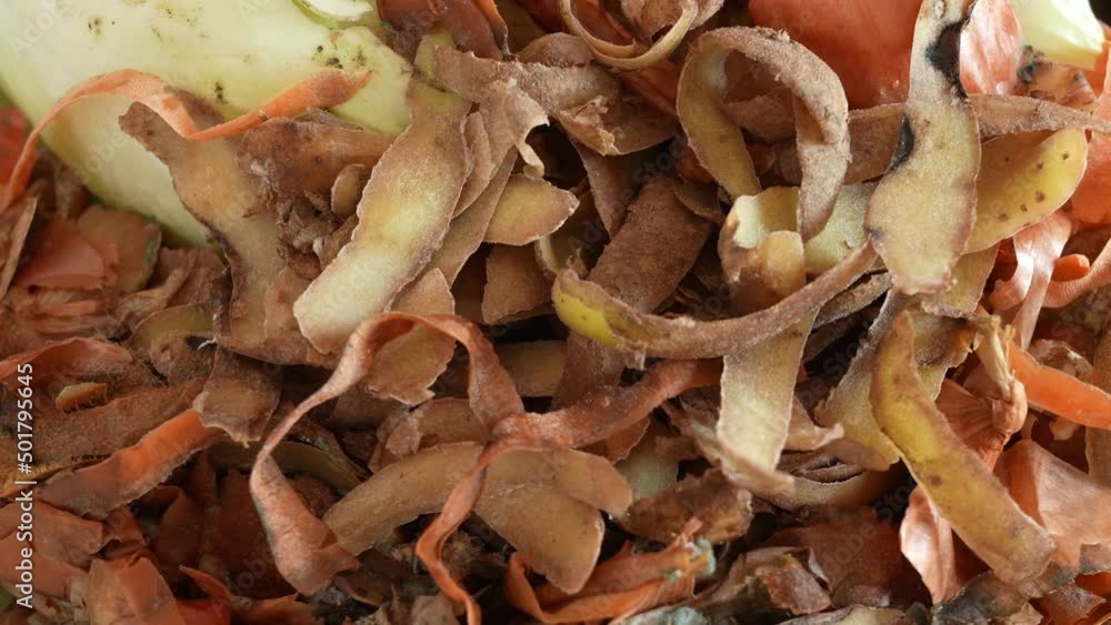 Close-up view 4k video of pile of different organic wastes after cooking food at home. Organic waste for composting concept. Peels of potatoes, onion, white cabbage and other vegetables Close-up view 4k video of pile of different organic wastes after cooking food at home. Organic waste for composting concept. Peels of potatoes, onion, white cabbage and other vegetables