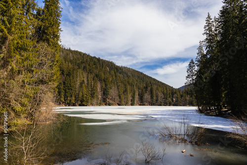 Lake with snow and forest on mountains at background.