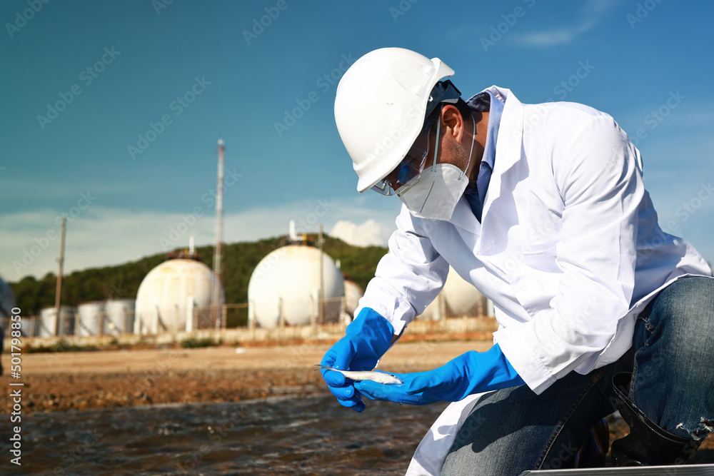 Scientist or Biologist in a protective suit, mask and gloves collect sample of  dead fish and Toxic water from factory