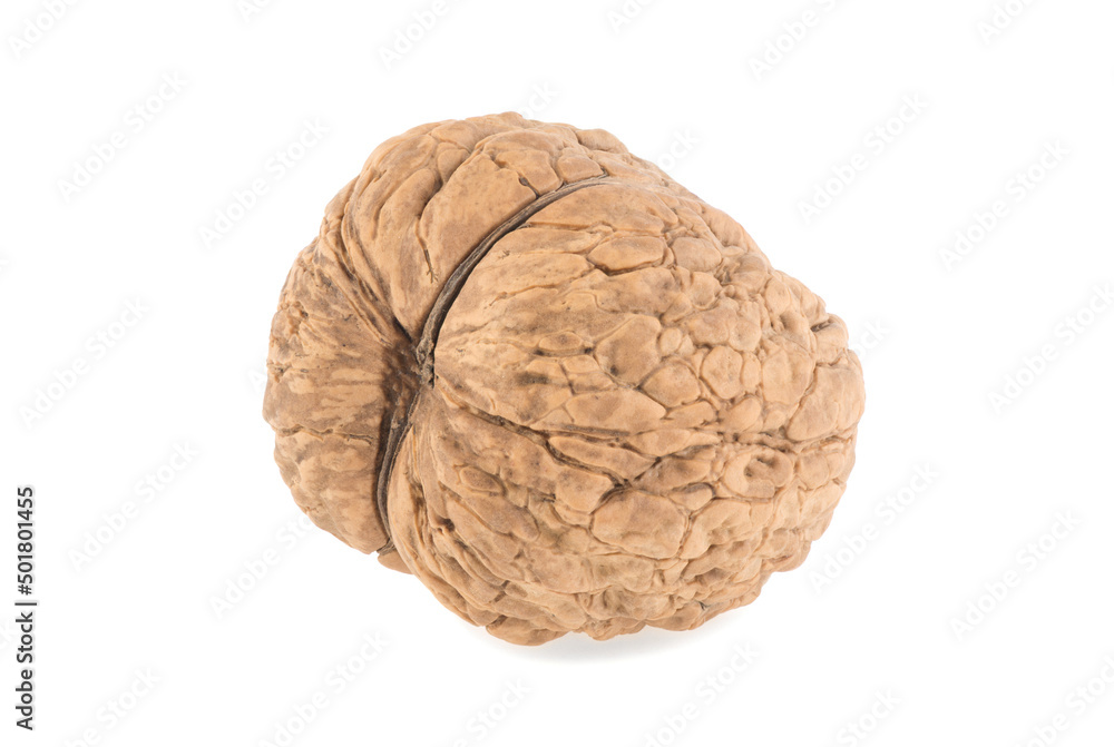 walnut isolated on white background walnut isolated on white background