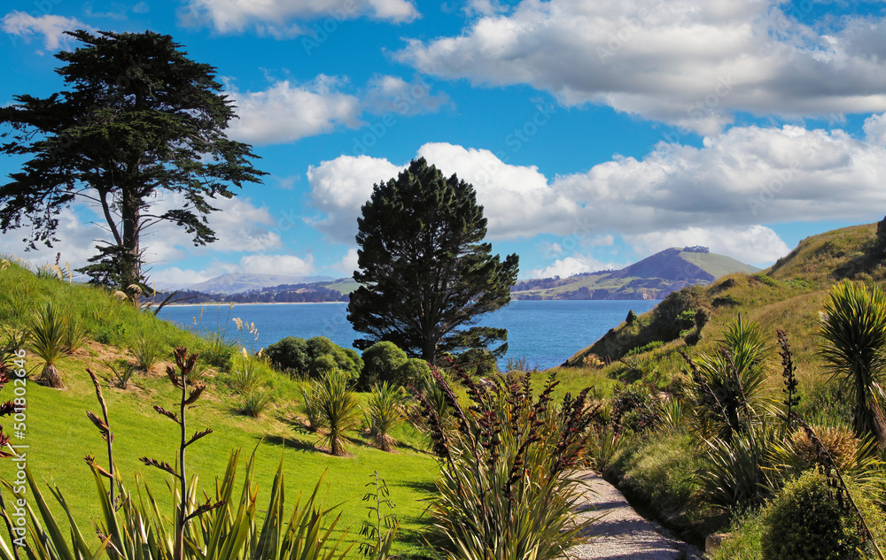 Beautiful scenic hiking trail path through green landscape to sea lagoon, fluffy cumulus summer clouds - Karitane, New Zealand