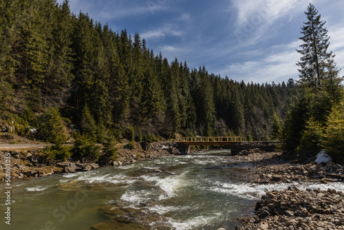 Mountain river with bridge and evergreen forest at background.