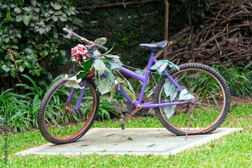 Old bicycle decorated with flowers in an outdoor garden, inspiration for social event, sunlight and relaxation space.