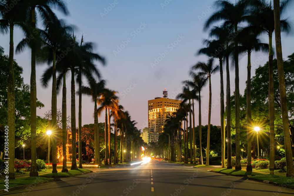 Night view of the NTU Palm Avenue