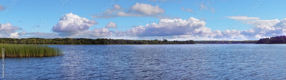 An open river landscape with banks overgrown with catail. The concept of summer holidays near the river. An open river landscape with banks overgrown with catail. The concept of summer holidays near the river.