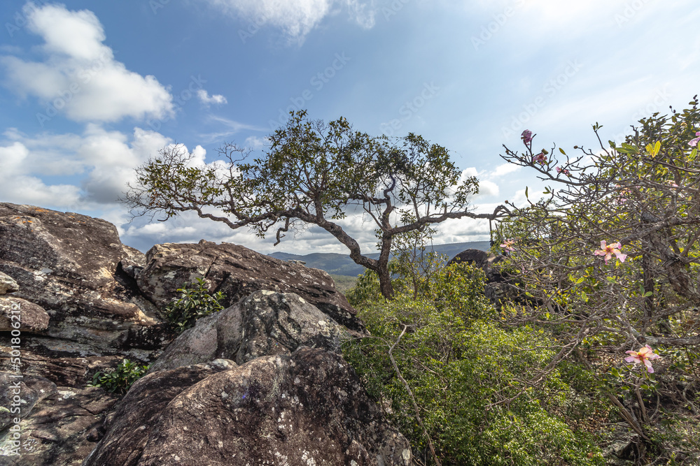 natural landscape of the city of São Gonçalo do Rio Preto, State of Minas Gerais, Brazil natural landscape of the city of São Gonçalo do Rio Preto, State of Minas Gerais, Brazil