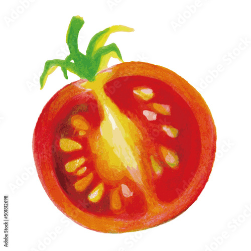 Cross section of cherry tomato hand-drawn illustration vector   ミニトマトの断面　手描きイラスト　ベクター