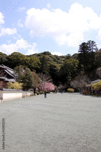 宗像市の鎮国寺