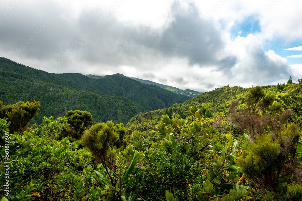 View over the landscape with the typical flora vegetation in Lombadas Springs in the Island of São Miguel in the Azores, Portugal.