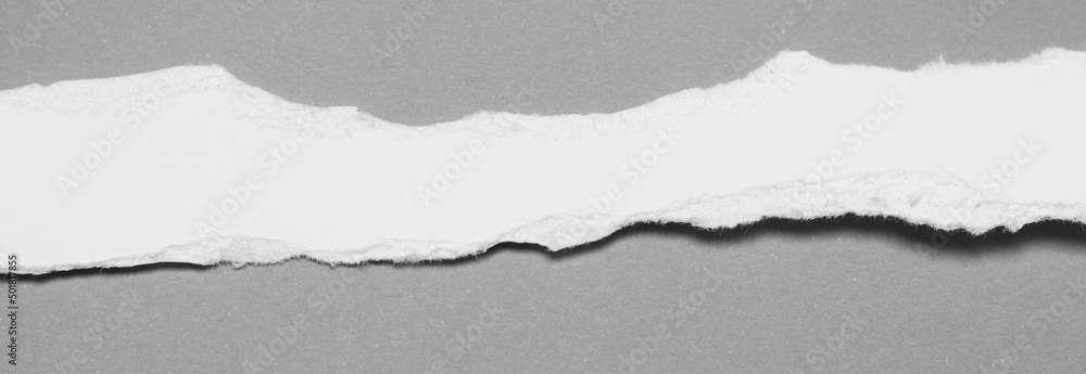 Naklejka premium pieces of torn paper texture background with copy space for text