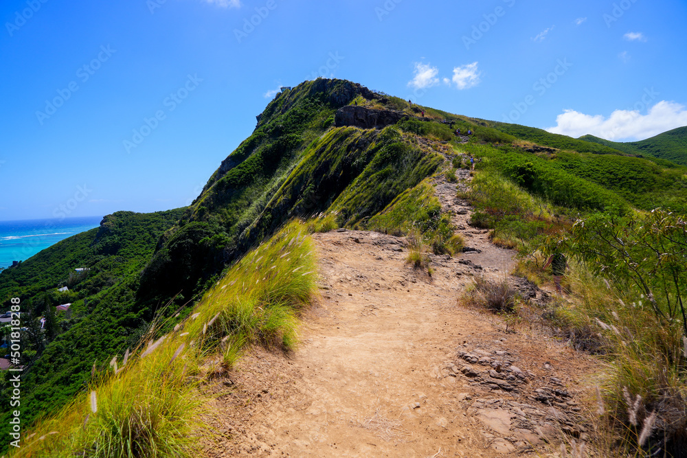 Dirt path heading towards Lanikai Pillbox in Kailua, in the East of Oahu in Hawaii, United States Dirt path heading towards Lanikai Pillbox in Kailua, in the East of Oahu in Hawaii, United States