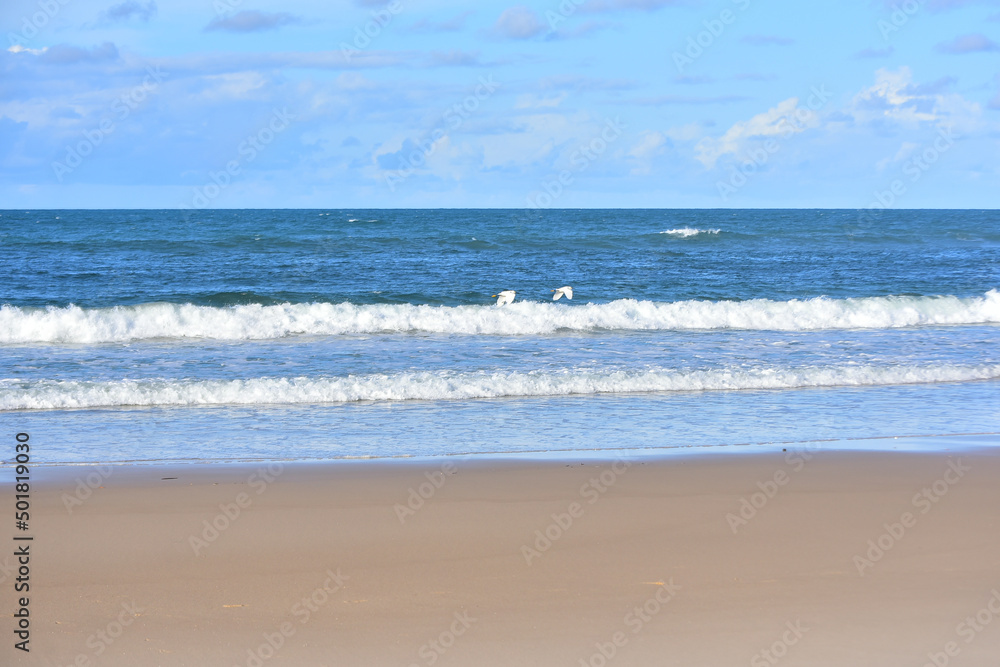 waves on the beach, brazilian beach, beach in sunny day, northeastern brazilian beach, brazilian summer	, sea ​​with waves, horizon line, natural landscapes, yemanja day, beach background
