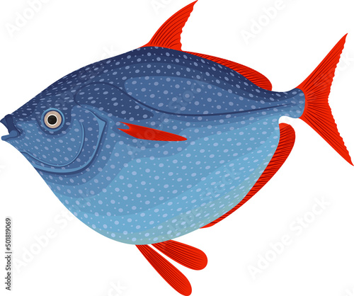 vetor Opah, also known as moonfish, sunfish, kingfish
