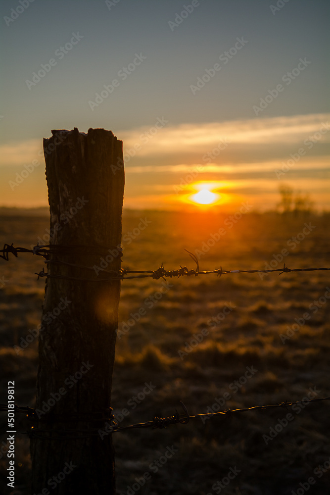 Sunrise fence