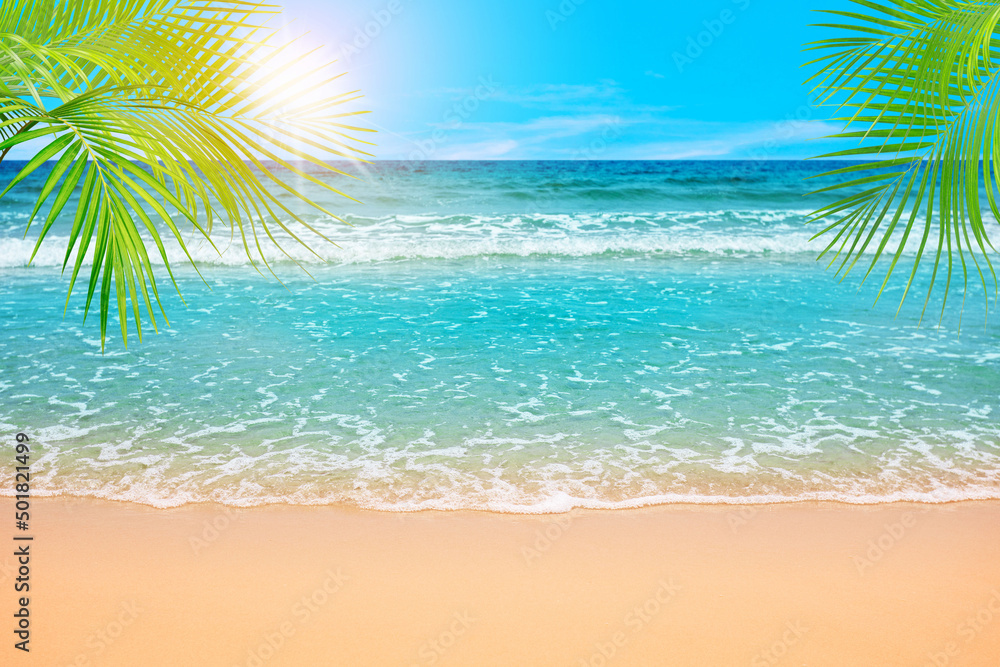 Beautiful nature green palm leaf on tropical beach with bokeh sun light wave abstract background. Copy space of summer vacation and business travel concept.