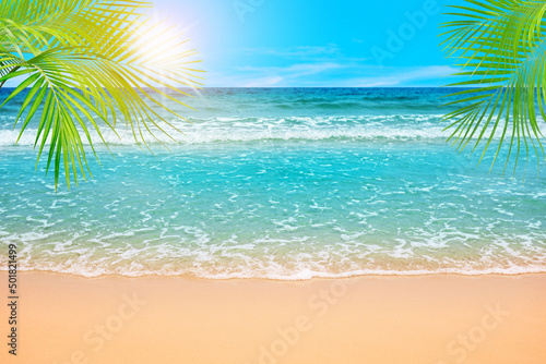 Beautiful nature green palm leaf on tropical beach with bokeh sun light wave abstract background. Copy space of summer vacation and business travel concept.