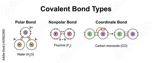 Scientific Designing Of Covalent Bond Types. Polar, Nonpolar And Coordinate Bonds Types. Colorful Symbols. Vector Illustration. photo