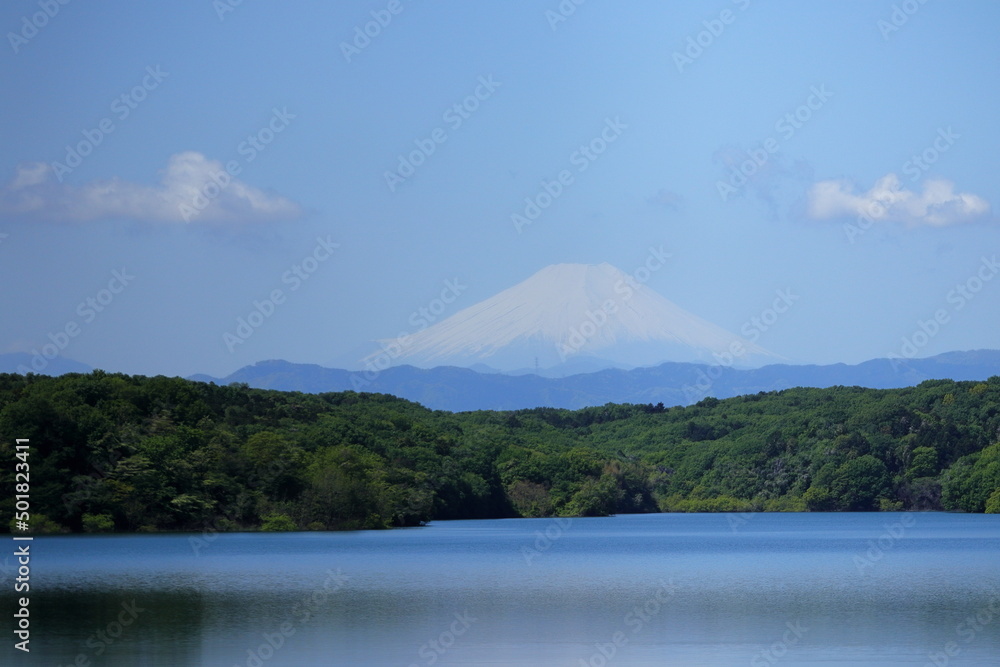 日本　埼玉から見た富士山