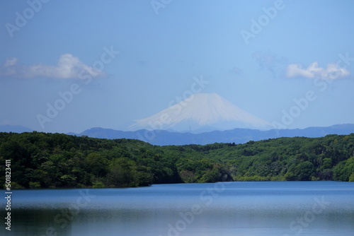日本 埼玉から見た富士山