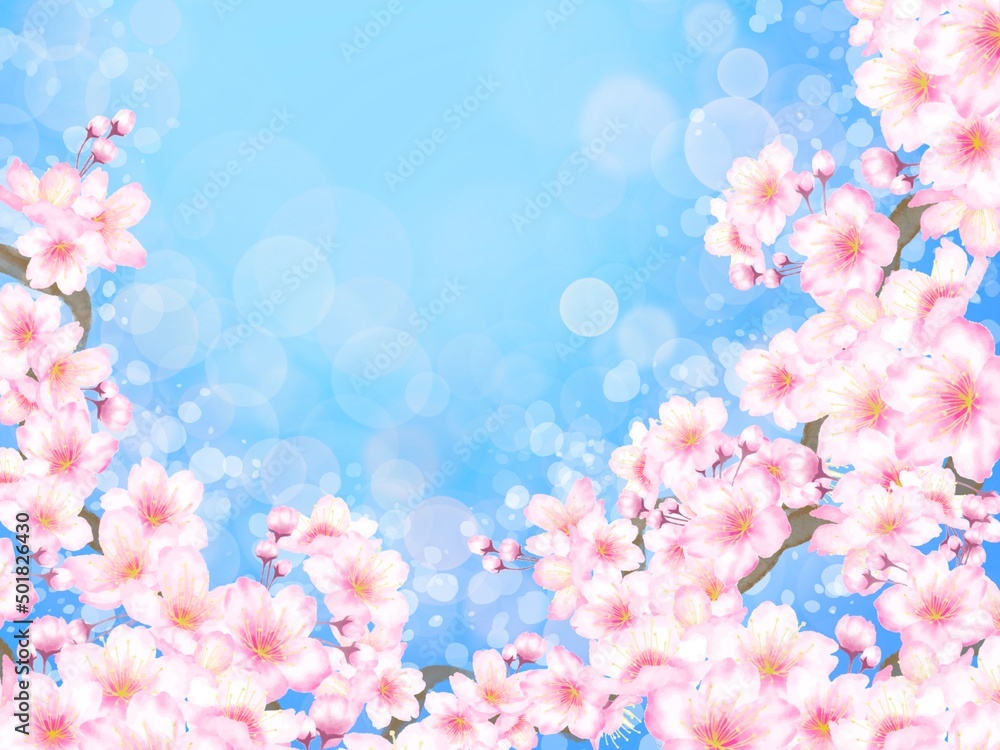 Fototapeta premium 桜の花の背景素材
