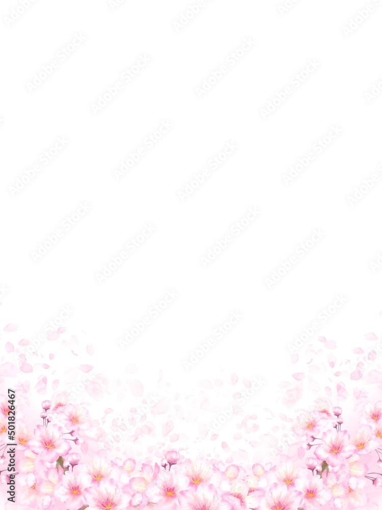 桜の花の背景素材 桜の花の背景素材
