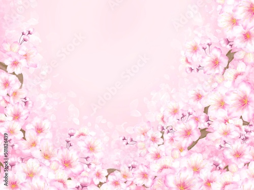 Fototapeta Naklejka Na Ścianę i Meble -  桜の花の背景素材