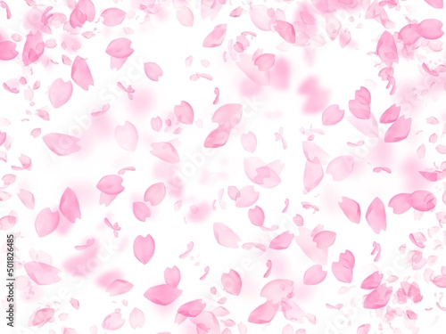 Wallpaper Mural 桜の花の背景素材 Torontodigital.ca