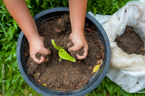 Top view Little Girl's hands putting soil in plant pot.