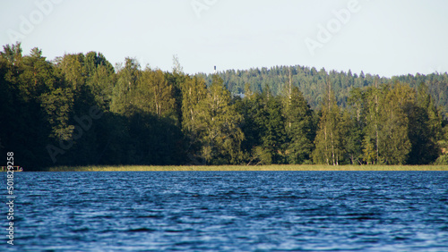 Pine tree forest to the other side of lake Jyvaskyla Finland