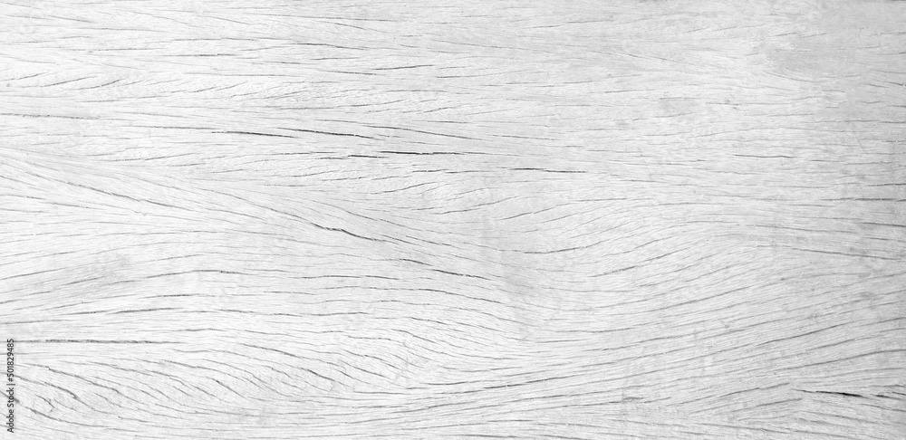 White wood texture with beautiful natural patterns in retro concept. White wood texture with beautiful natural patterns in retro concept.