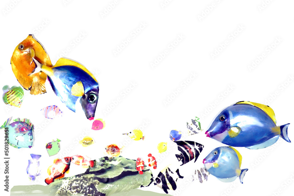 Fototapeta premium 熱帯魚