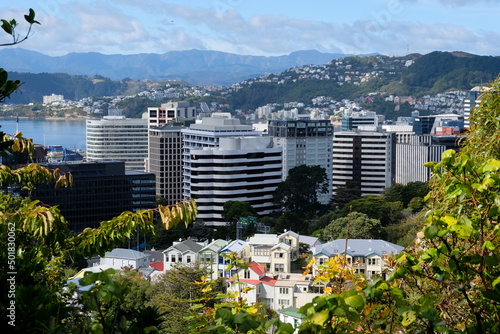 A view of the Wellington city, residential houses, office blocks in CBD and Mt Vic in the distance, Wellington, New Zealand, Aotearoa