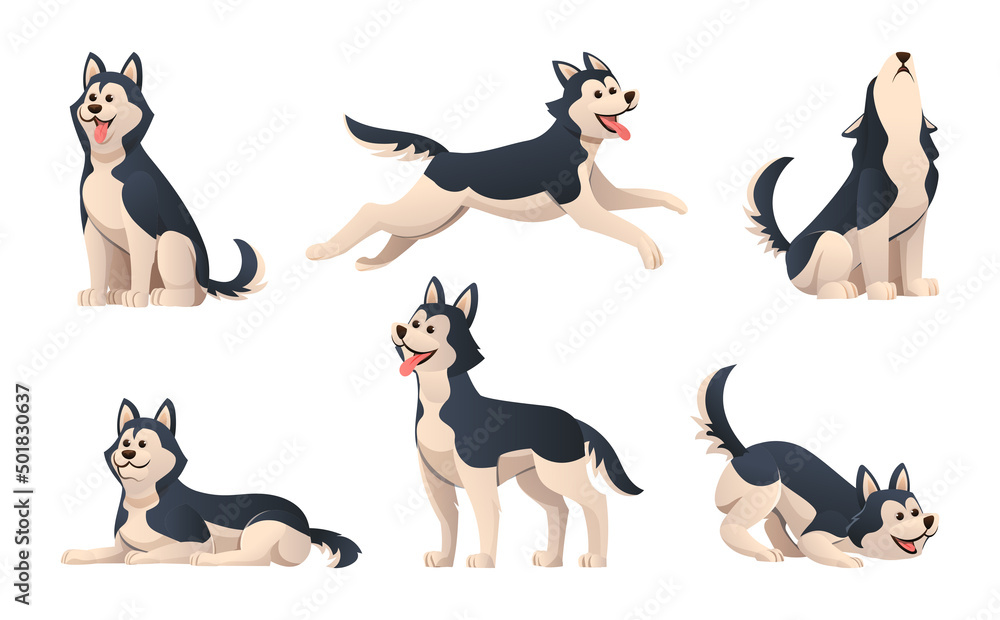 Set of cute siberian husky in various poses illustration