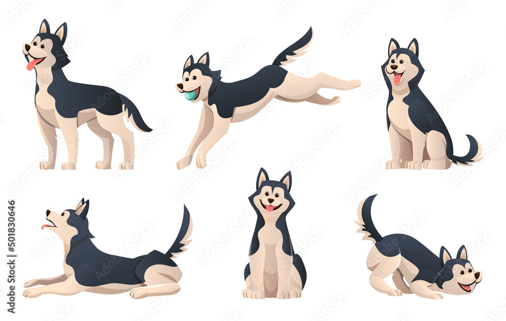 Set of cartoon husky dog in various poses