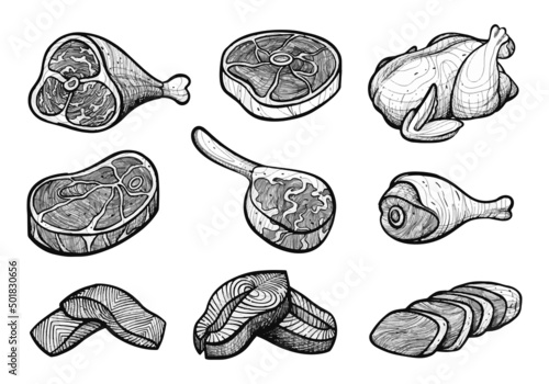 Set of raw beef, chicken, and salmon hand drawn sketch illustration