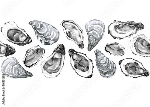 Seamless banner with hand drawn oysters
