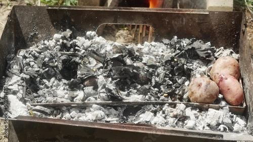 hands pulling underbaked potatoes from hot coals photo