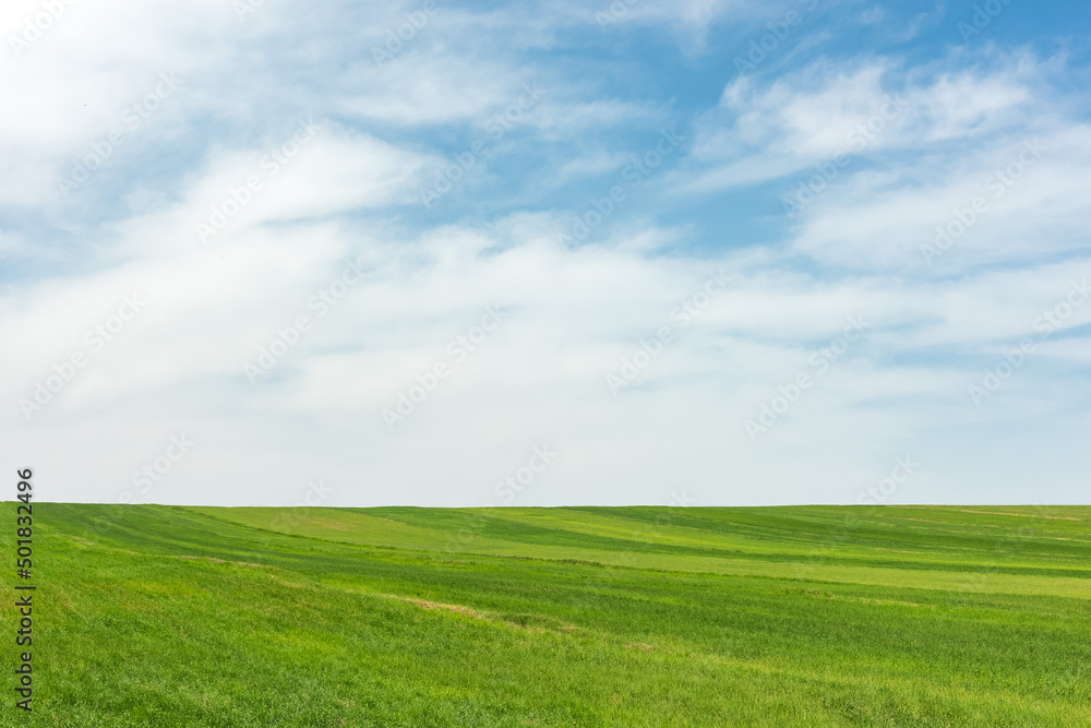Naklejka premium Landscape with green farm fields and cloudy sky