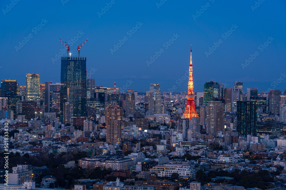 Tokyo city view and Tokyo tower at magic hour.