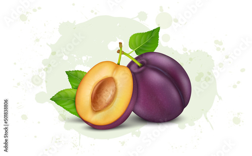 Fresh Plum fruits with green and half piece of plum fruit vector illustration isolated on white background