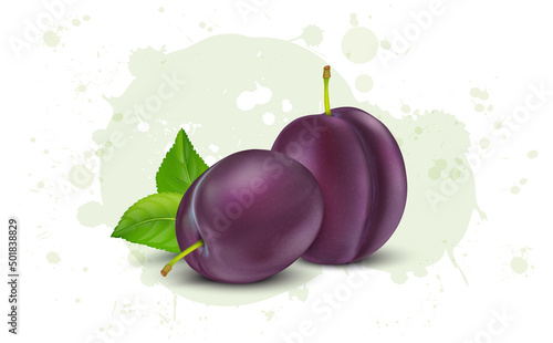 Set of two Fresh Plum Fruit vector illustrations with green leaves isolated on white background