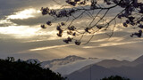 朝日に照らされて輝いている石鎚山（愛媛県で撮影）