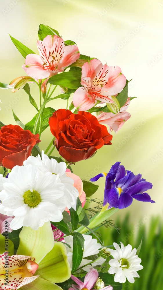 Image of beautiful flowers in the garden on blure background closeup Image of beautiful flowers in the garden on blure background closeup