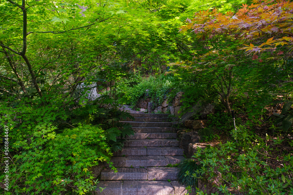 Spring scenery of Yellow Crane Tower Park in Wuhan, Hubei Spring scenery of Yellow Crane Tower Park in Wuhan, Hubei